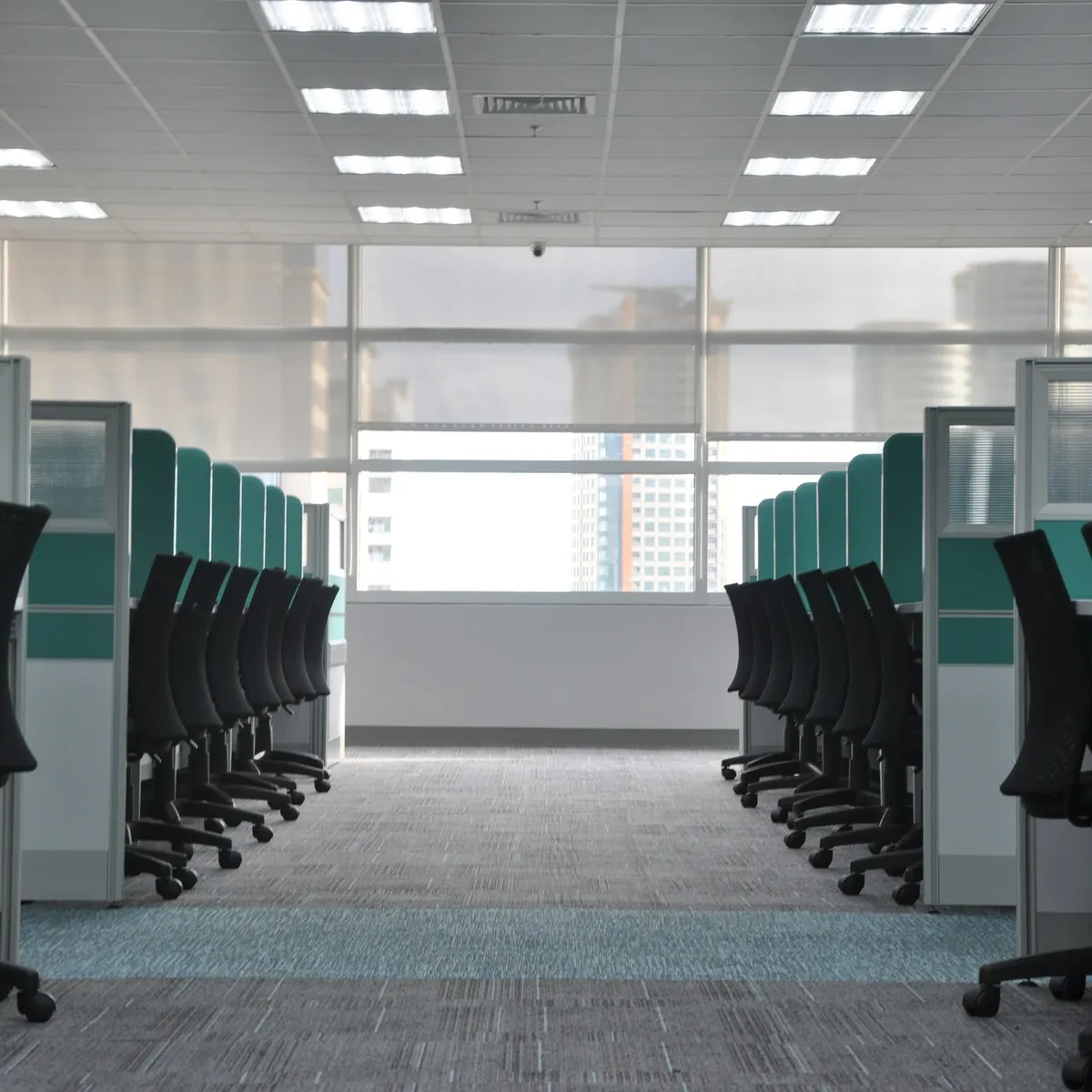 Rows of empty cubicles and black office chairs along a clean carpeted aisle, lit by ceiling panels.