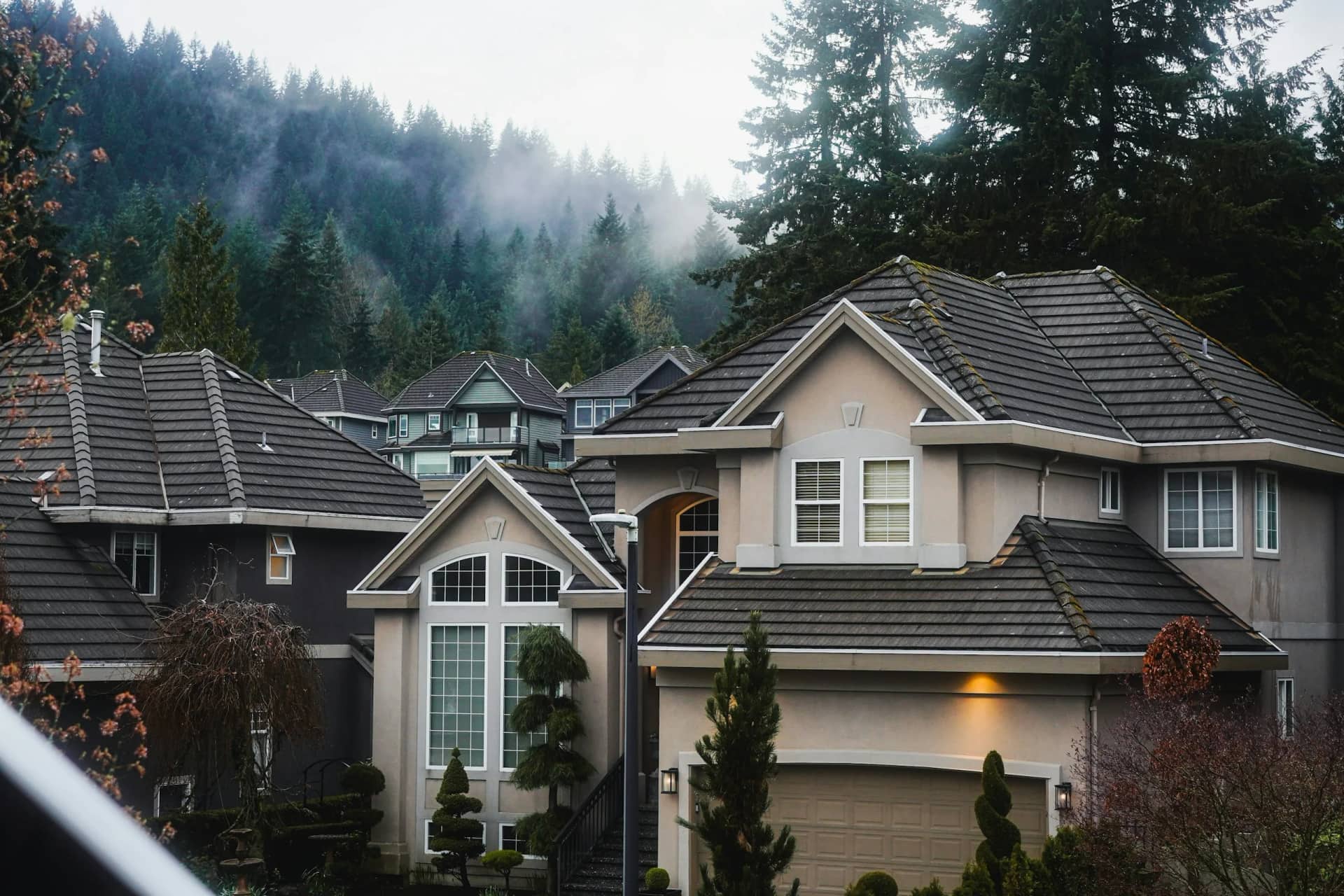 Suburban homes set among tall evergreens under low coastal fog — the kind of Greater Vancouver property RainCity maintains year-round.