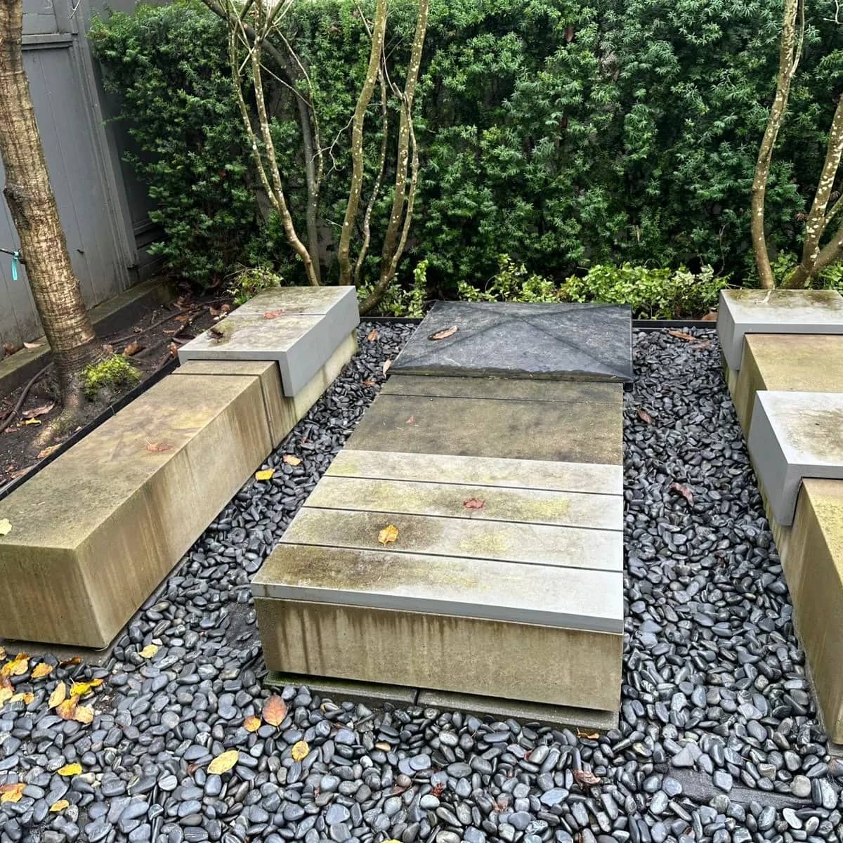 Concrete benches in a gravel garden before washing, green with algae and stained along their sides.