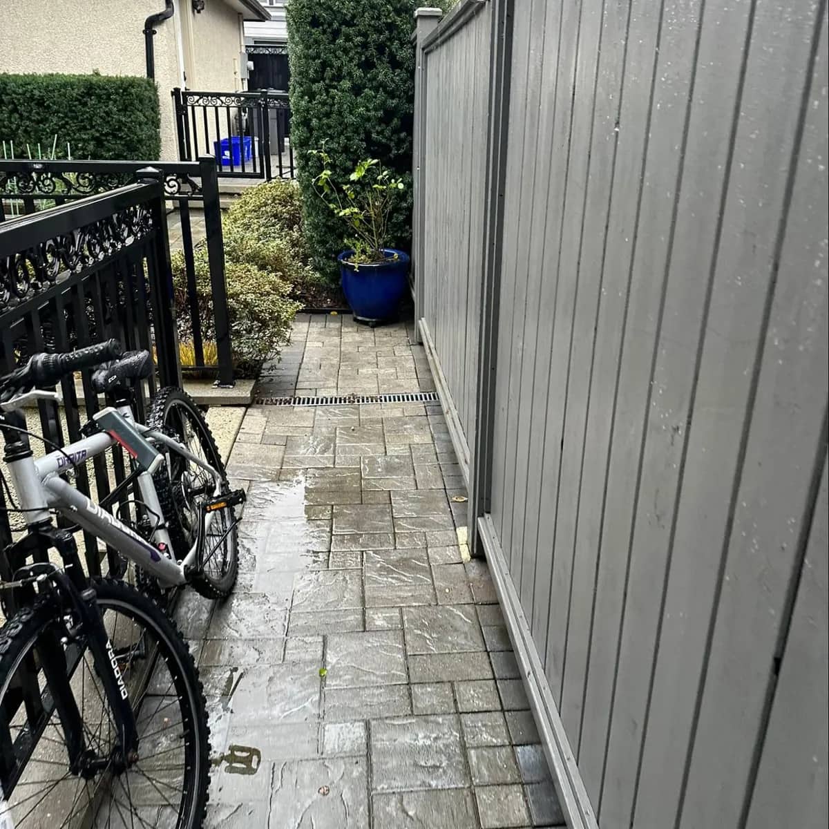 The side-yard paver path after pressure washing, the stones clean and the joints clear along the fence.