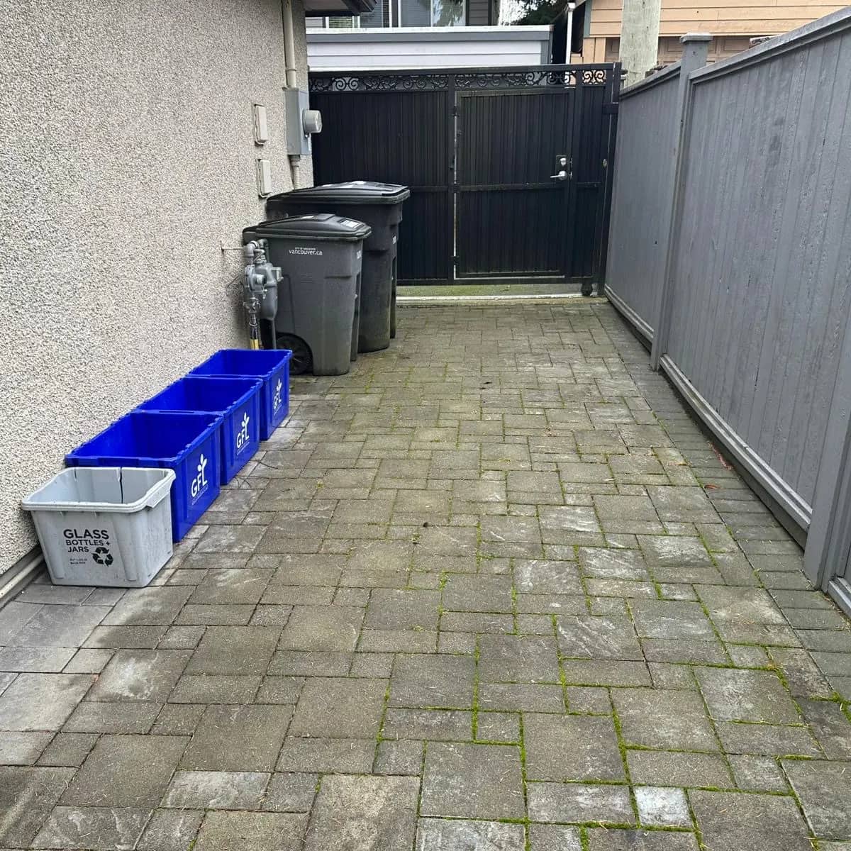 A paver path down the side of a house before washing, moss and green growth in the joints between the stones.