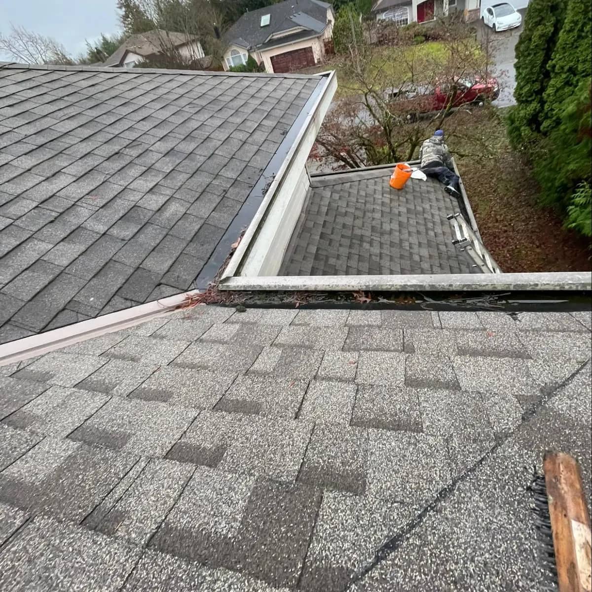 An asphalt shingle roof before cleaning, streaked dark with growth, debris lying in the gutter along its edge.