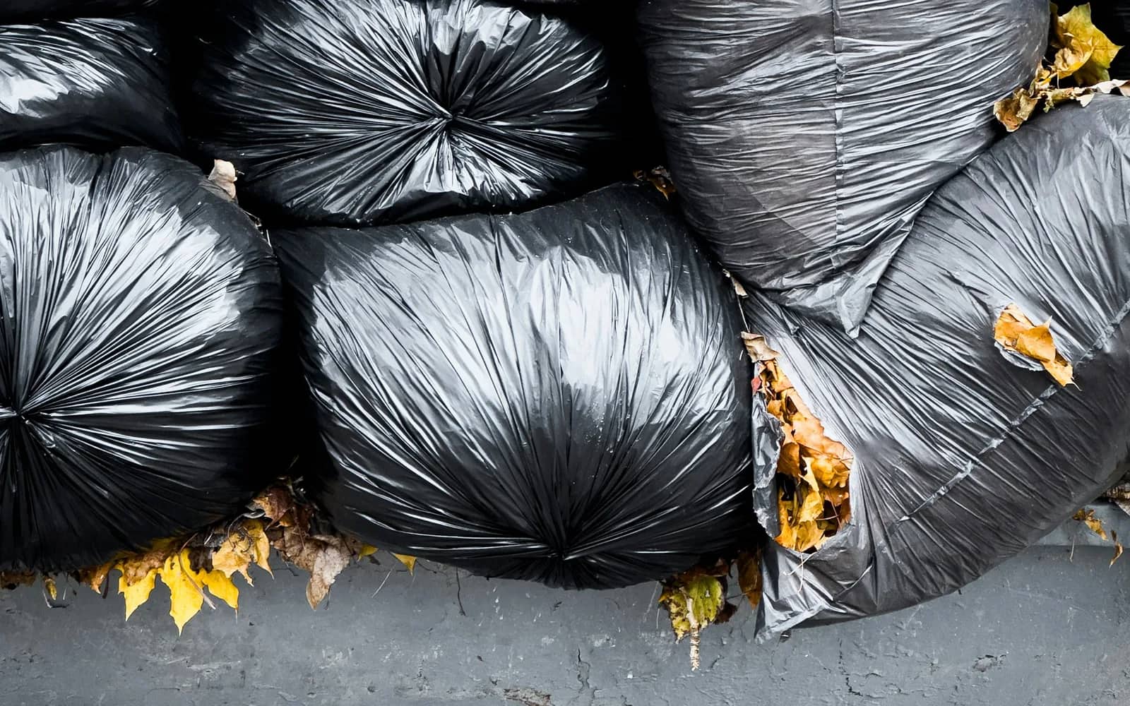 Gutter cleaning: black bags packed full of fallen leaves, tied off and stacked together on a concrete ledge with loose leaves caught around them.