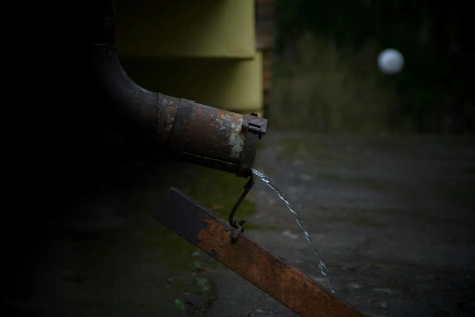 Gutter cleaning: water running clear out of the elbow at the foot of a downspout and falling away onto the ground below.