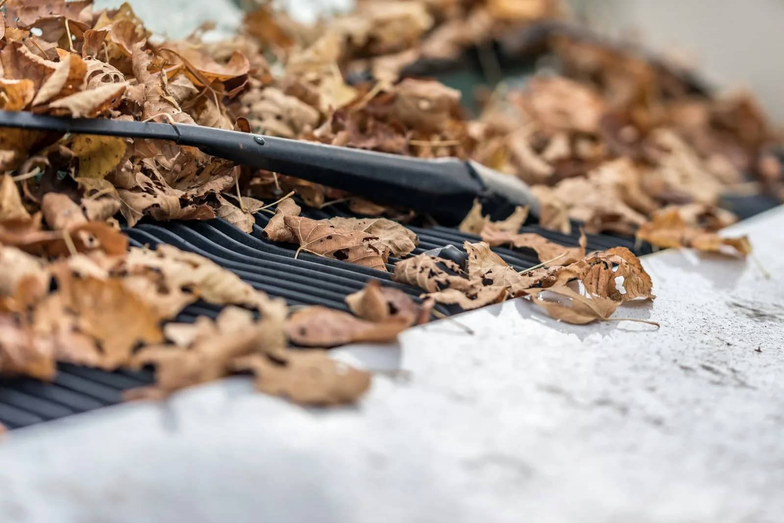 Gutter cleaning: dry leaves caught in a drift on top of a mesh gutter guard, held above the channel running underneath.