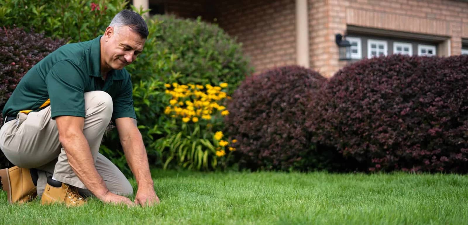 Landscaping and lawn care: a clipped shrub and flowering border standing above a freshly cut lawn.