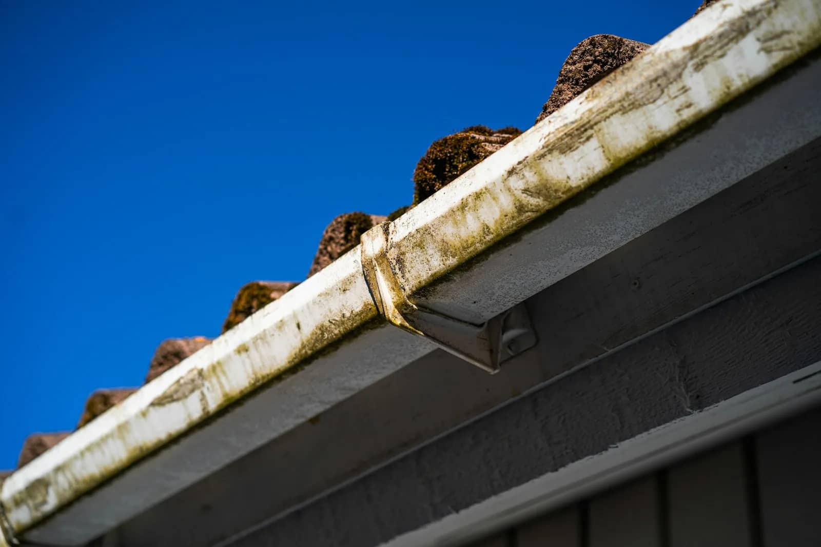 Roof cleaning: clumps of moss sitting along a roof edge directly above an open gutter run, the length of the channel visible against a clear sky.