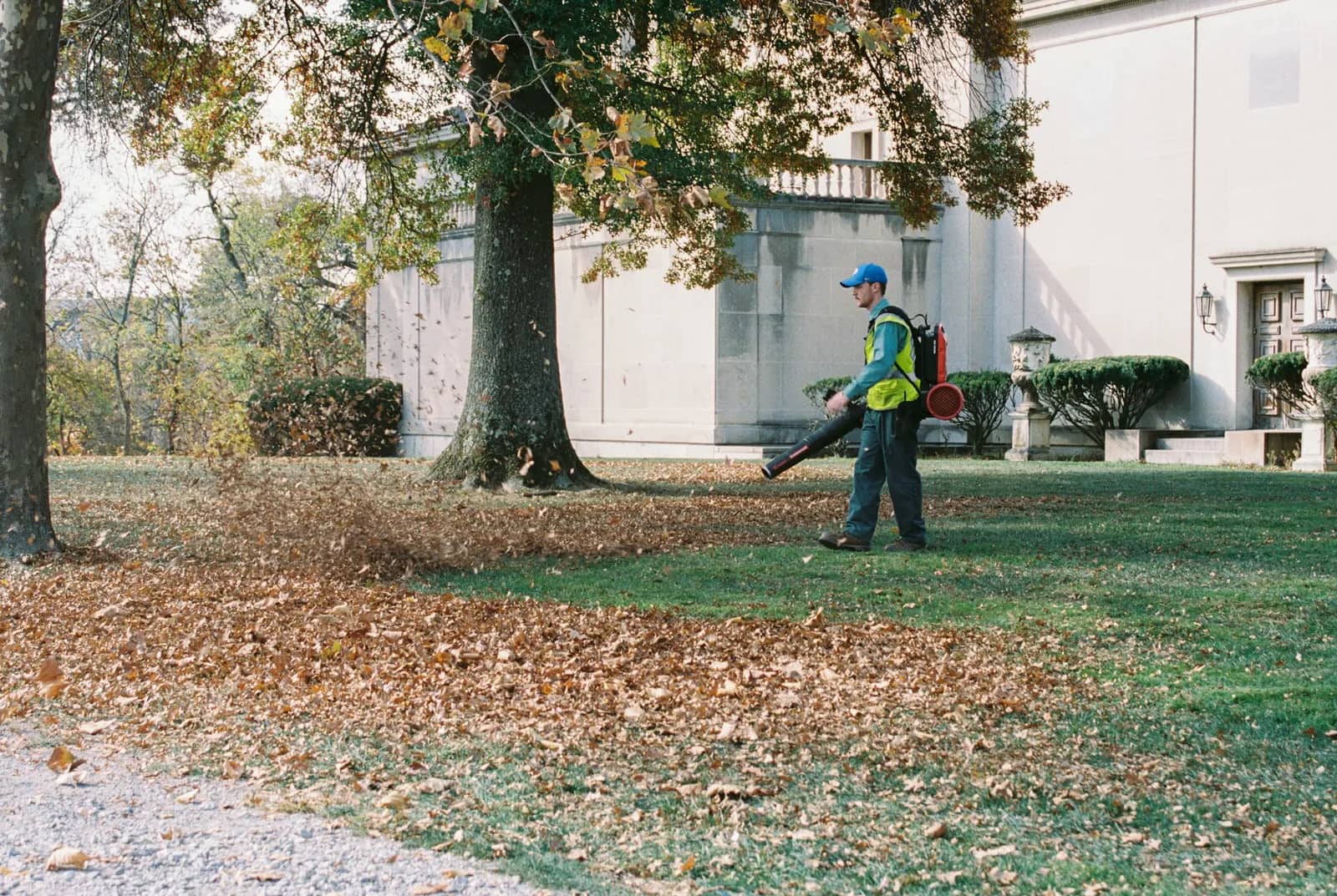 A worker in a hi-vis vest running a leaf blower across a lawn thick with fallen autumn leaves beside a large tree.
