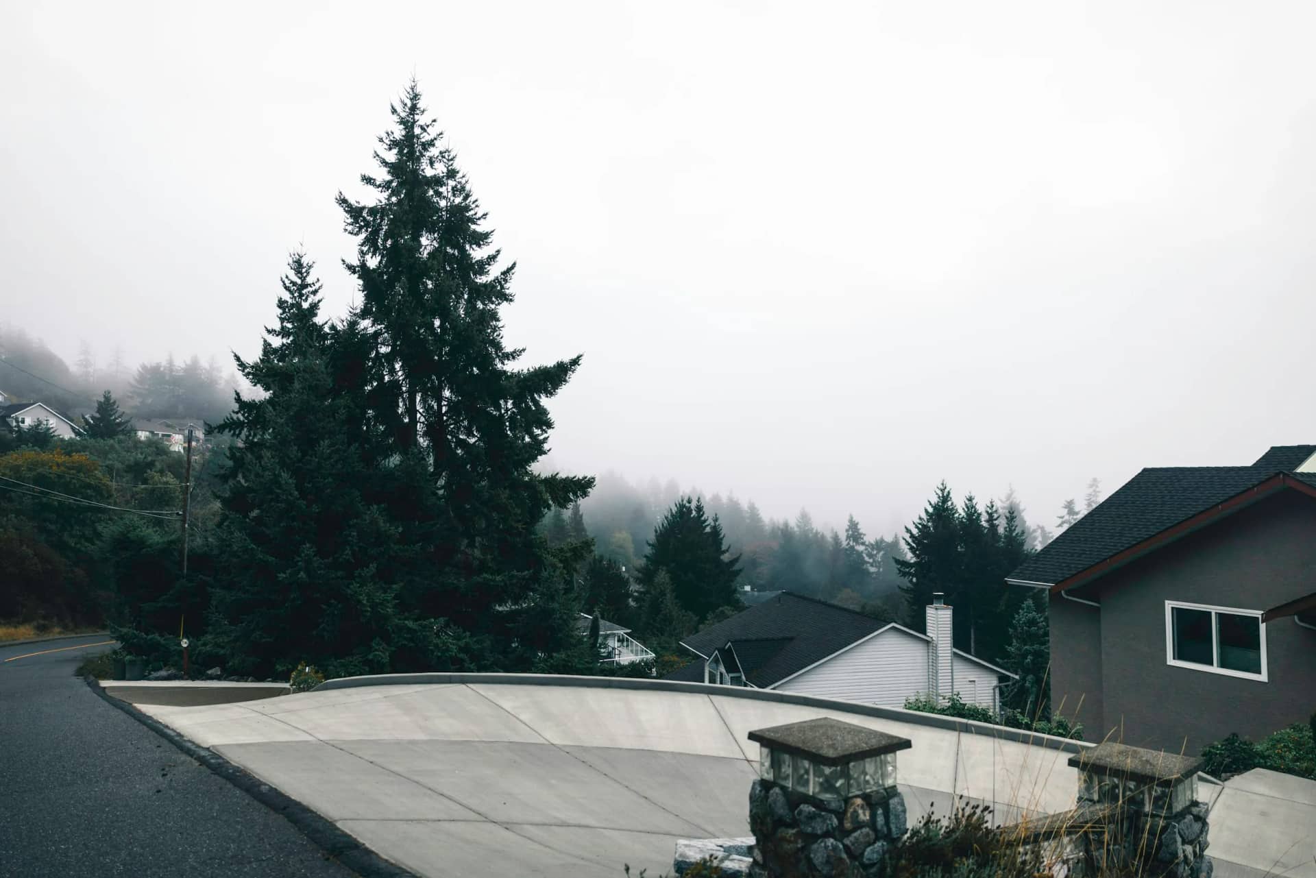 A foggy residential street on a Greater Vancouver hillside, evergreens rising above the rooflines and cloud settled low over the trees beyond.