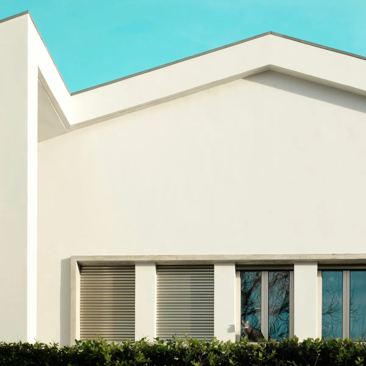 A clean white rendered wall and roofline under a blue sky, with a row of windows above a trimmed hedge.