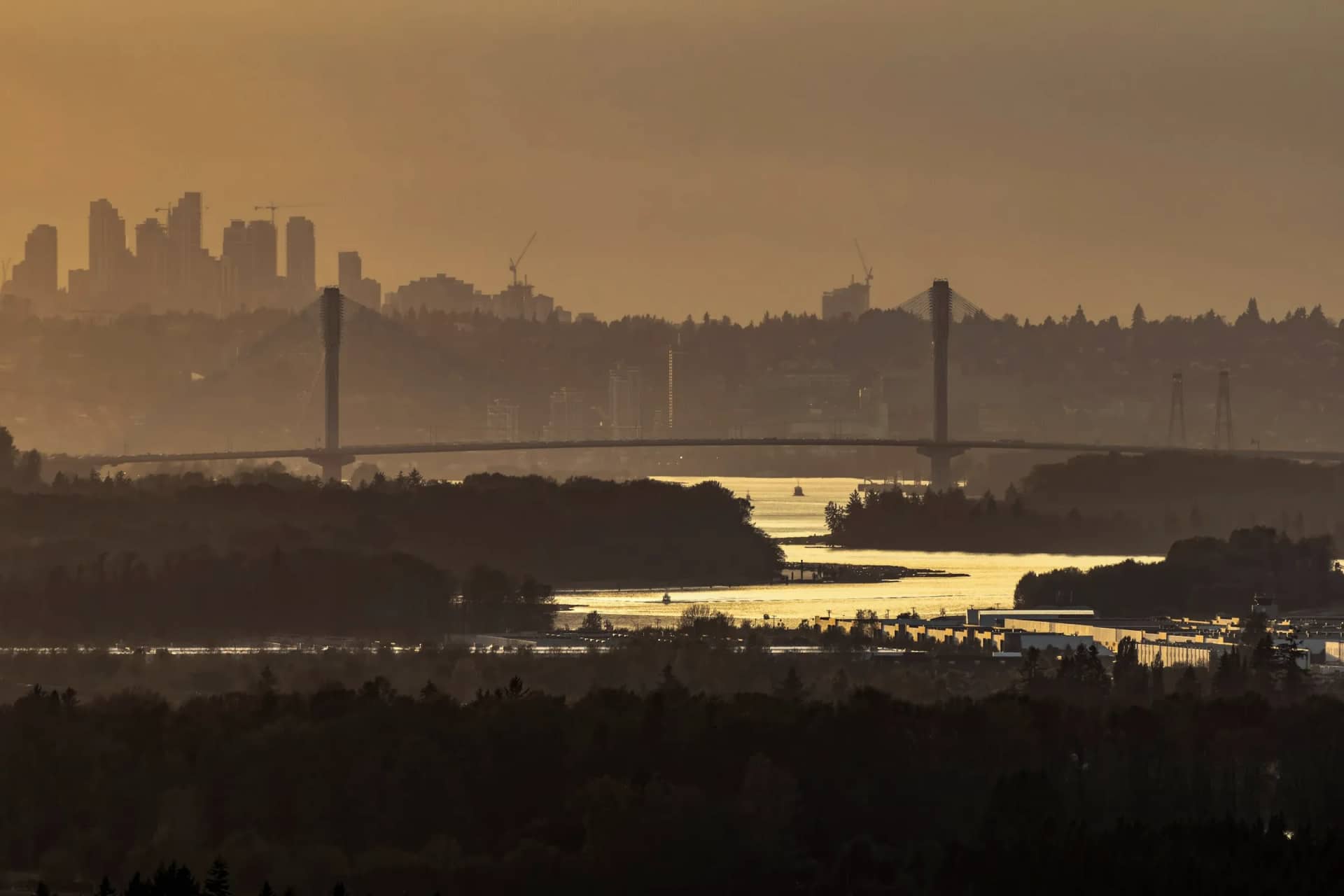 The Fraser River at golden hour, the Port Mann Bridge spanning it between Coquitlam and Surrey, with Burnaby's towers on the skyline beyond.