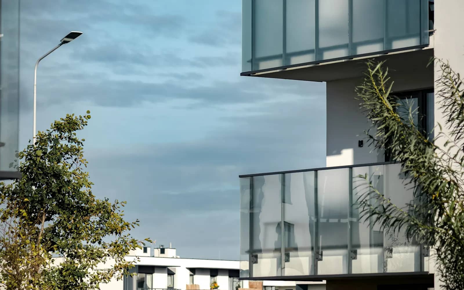 Balcony cleaning: frosted glass balcony panels on a white apartment building, a leafy tree in front and an overcast sky behind.