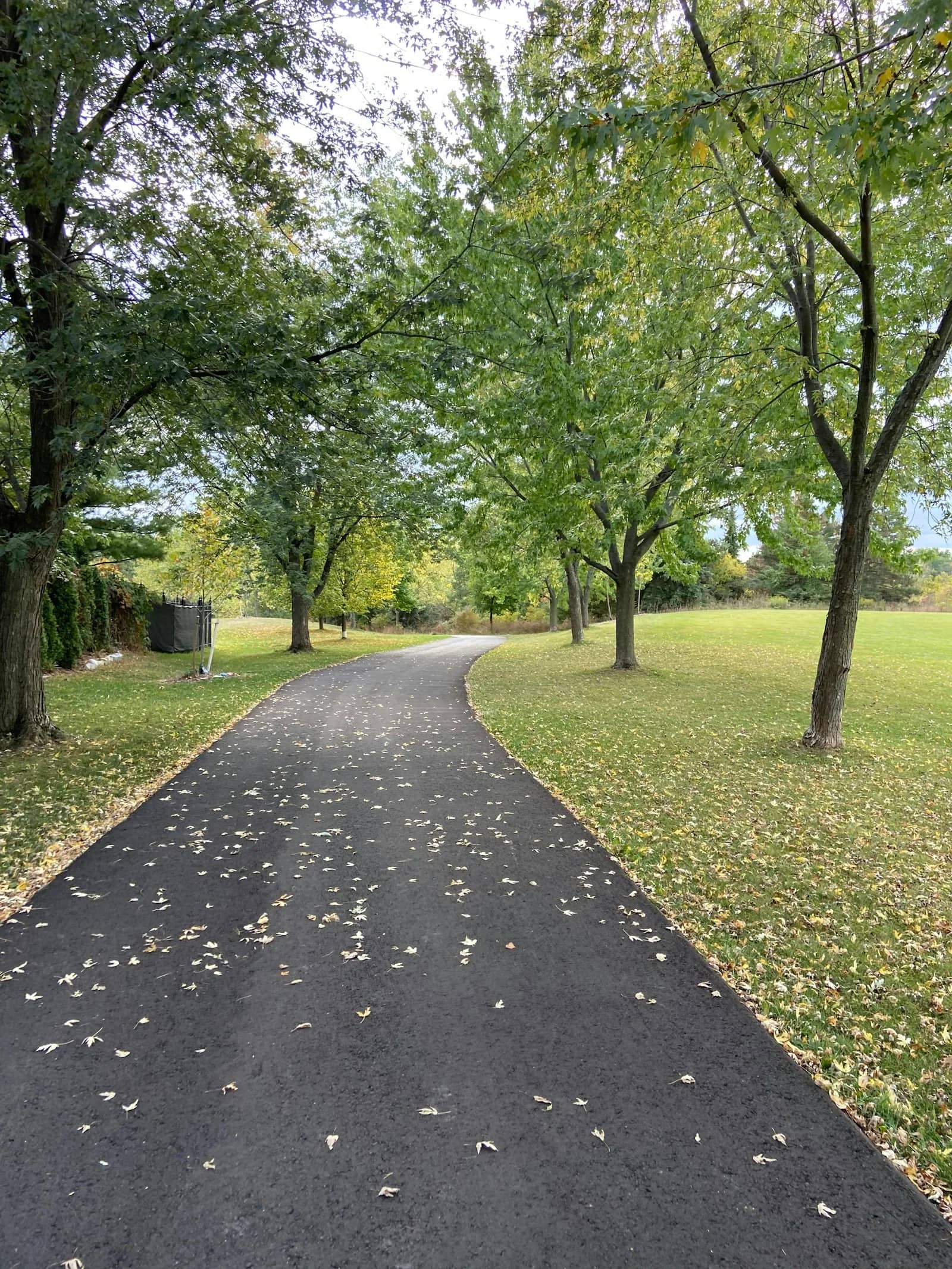 Concrete and asphalt sealing: a wide asphalt run curving away between mown grass and trees, the surface even and dark from edge to edge.