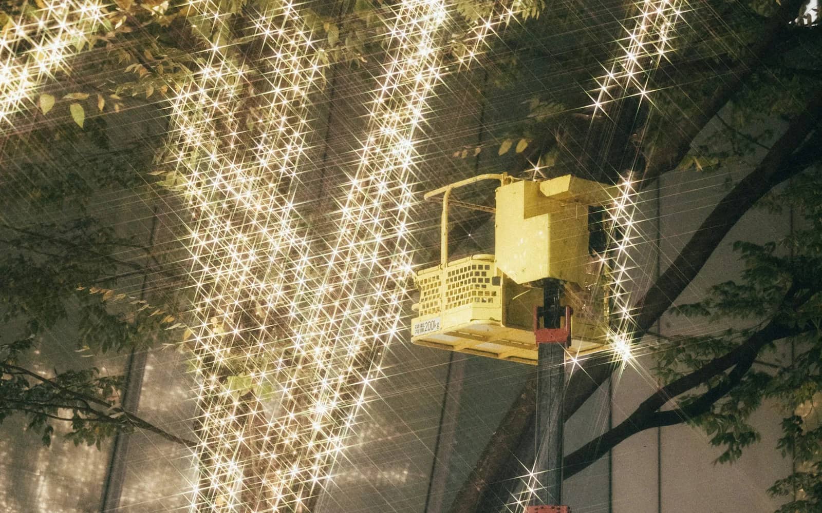 Holiday lights: an aerial work platform raised into a tree whose trunk and branches are wrapped in strings of warm white lights at night.