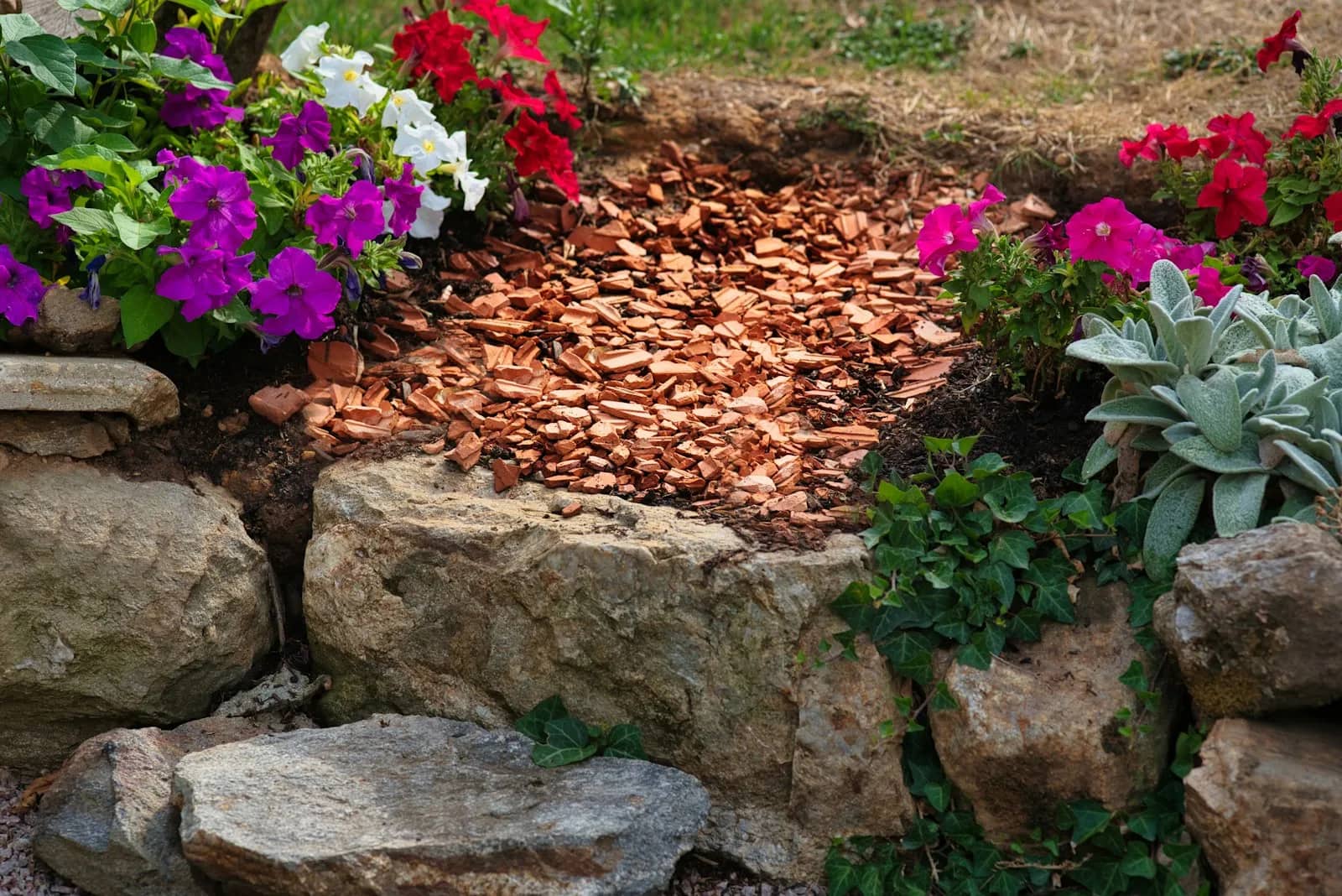 Landscaping and lawn care: a planted bed dressed with bark mulch and held by a low stone edge, petunias and silver foliage set through it.