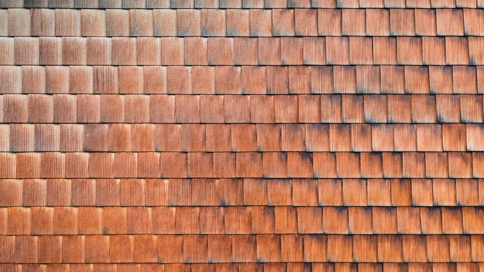 Soft washing: courses of cedar shingles in warm red-brown, the grain and the saw marks still clear across every butt.
