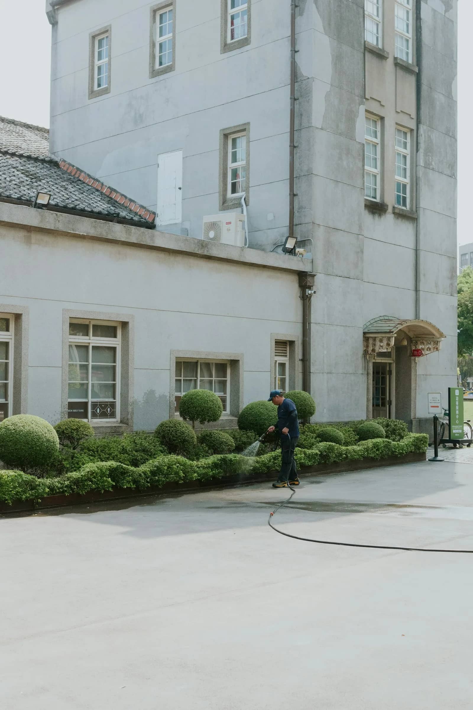 Soft washing: a worker running a hose over the clipped shrubs planted along the foot of a building wall.