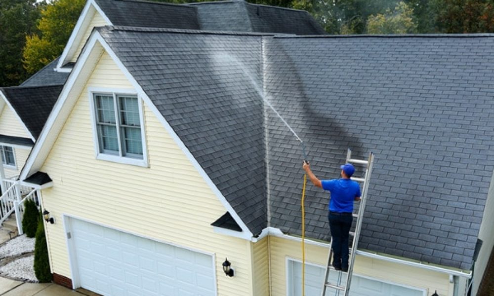 roof cleaning